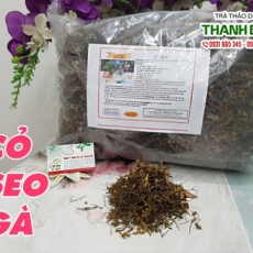 Mua bán cỏ seo gà ở huyện Nhà Bè giúp chữa viêm đường tiết niệu tốt nhất