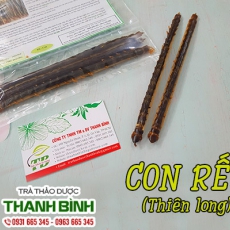 Mua bán con rết tại quận 1 giúp giảm đau và giải độc hiệu quả