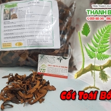 Mua bán cốt toái bổ ở huyện Nhà Bè giúp tăng cường sức đề kháng hiệu quả nhất