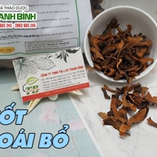 Mua bán cốt toái bổ tại TP.HCM uy tín chất lượng tốt nhất