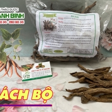 Mua bán củ bách bộ tại TP.HCM uy tín chất lượng tốt nhất