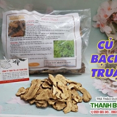 Mua bán củ bạch truật tại TP.HCM uy tín chất lượng tốt nhất