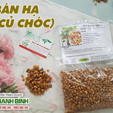 Mua bán củ chóc (bán hạ) ở huyện Củ Chi hỗ trợ trị ong đốt hiệu quả nhất