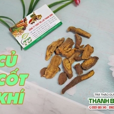 Mua bán củ cốt khí tại TP.HCM uy tín chất lượng tốt nhất