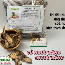Mua bán củ ngưu bàng ở quận Phú Nhuận giúp điều trị di chứng tai biến mạch máu não an toàn nhất