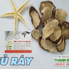 Mua bán củ ráy tại TP.HCM uy tín chất lượng tốt nhất