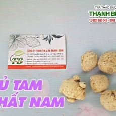 Mua bán củ tam thất nam ở quận Thủ Đức có tác dụng trị rắn cắn an toàn hiệu quả nhất