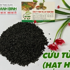 Mua bán cửu tử (hạt hẹ) tại TP.HCM uy tín chất lượng tốt nhất