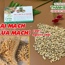 Mua bán đại mạch tại quận 2 có tác dụng giúp trị ăn không tiêu hiệu quả tốt nhất