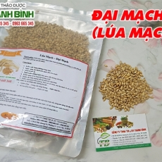 Mua bán đại mạch tại quận 9 rất tốt cho tim mạch ngăn ngừa đột quỵ