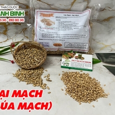 Mua bán đại mạch tại TP.HCM uy tín chất lượng tốt nhất