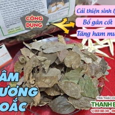 Mua bán dâm dương hoắc tại quận 9 giúp ôn thận tráng dương hiệu quả nhất