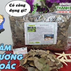 Mua bán dâm dương hoắc tại TP.HCM uy tín chất lượng tốt nhất