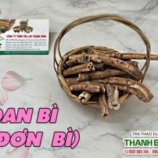 Mua bán đan bì - đơn bì tại TP.HCM uy tín chất lượng tốt nhất