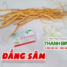 Mua bán đẳng sâm tại quận 8 có tác dụng giảm ho long đờm tốt nhất