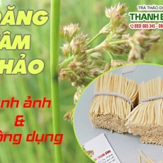 Mua bán đăng tâm thảo ở quận Tân Bình giúp cầm máu nhẹ tốt nhất 