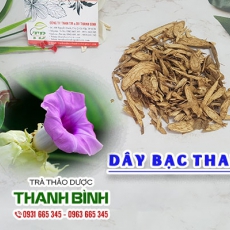 Mua bán dây bạc thau tại quận 4 có tác dụng điều trị bệnh bạch đới
