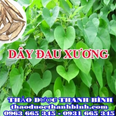 Mua bán dây đau xương tại Bình Dương giúp điều trị đau vai gáy đau nhức xương khớp hiệu quả