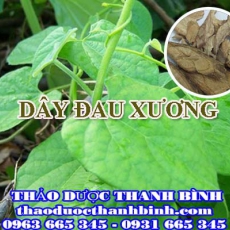 Mua bán dây đau xương tại Bình Dương uy tín chất lượng nhất