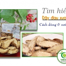 Mua bán dây đau xương tại TP.HCM uy tín chất lượng tốt nhất