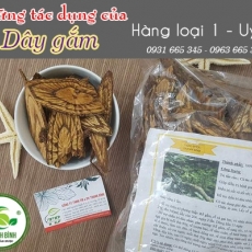 Mua bán dây gắm tại TP.HCM uy tín chất lượng tốt nhất