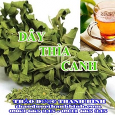 Mua bán dây thìa canh tại Bắc Kạn giúp ổn định đường huyết hiệu quả