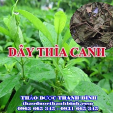 Mua bán dây thìa canh tại Bắc Kạn uy tín chất lượng nhất