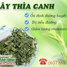 Mua bán dây thìa canh tại TP.HCM uy tín chất lượng tốt nhất