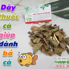 Mua bán dây thuốc cá ở quận Tân Bình giúp đánh bắt cá dễ dàng nhất
