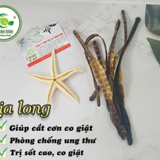 Mua bán địa long ở quận Gò Vấp giúp trị liệt nửa người hiệu quả tốt nhất