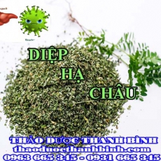 Mua bán diệp hạ châu tại Bến Tre giúp lợi tiểu giải độc cơ thể hiệu quả