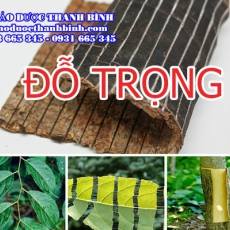 Mua bán đỗ trọng tại Cần Thơ uy tín chất lượng nhất