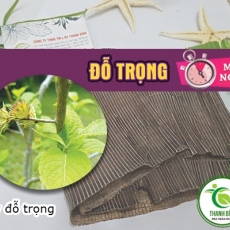 Mua bán đỗ trọng tại TP.HCM uy tín chất lượng tốt nhất