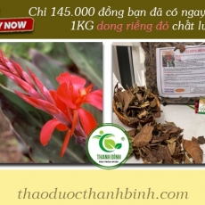 Mua bán dong riềng đỏ tại quận 7 có khả năng kích thích sản sinh tinh trùng rất hiệu quả tốt nhất