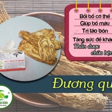 Mua bán đương quy ở quận Bình Thạnh có tác dụng trị đau tê chân tay hiệu quả