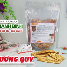 Mua bán đương quy tại quận 2 thảo dược giúp điều trị thiếu máu