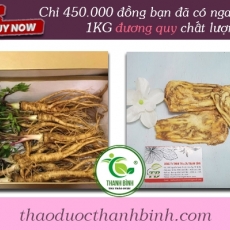 Mua bán đương quy tại TP.HCM uy tín chất lượng tốt nhất