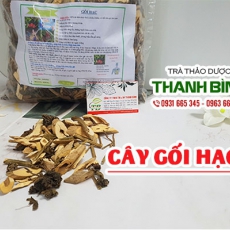 Mua bán gối hạc tại quận 6 điều trị đau bụng rong kinh hiệu quả