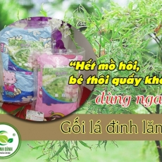 Mua bán gối lá đinh lăng ở quận Bình Tân giúp hút ẩm tốt nhất
