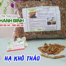 Mua bán hạ khô thảo ở quận Bình Tân giúp an thần giảm căng thẳng