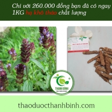 Mua bán hạ khô thảo tại TP.HCM uy tín chất lượng tốt nhất