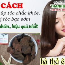 Mua bán hà thủ ô đỏ tại TP.HCM uy tín chất lượng tốt nhất