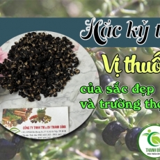 Mua bán hắc kỷ tử tại TP.HCM uy tín chất lượng tốt nhất