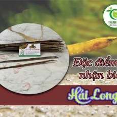 Mua bán hải long ở quận Bình Thạnh có tác dụng trị đau nhức xương khớp hiệu quả