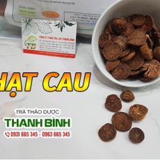 Mua bán hạt cau ở quận Tân Bình tốt cho não bộ cải thiện hệ thần kinh