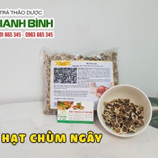 Mua bán hạt chùm ngây tại quận 9 cải thiện tình trạng rối loạn tiêu hóa
