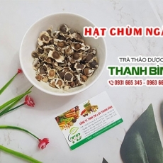 Mua bán hạt chùm ngây tại TP.HCM uy tín chất lượng tốt nhất