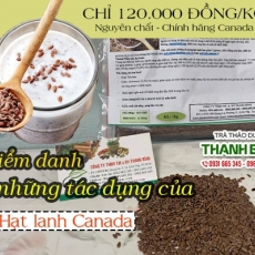 Mua bán hạt lanh Canada tại TP.HCM uy tín chất lượng tốt nhất