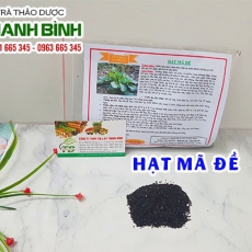 Mua bán hạt mã đề tại quận 3 có tác dụng điều trị viêm thận cấp tính