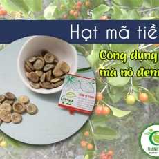 Mua bán hạt mã tiền tại TP.HCM uy tín chất lượng tốt nhất